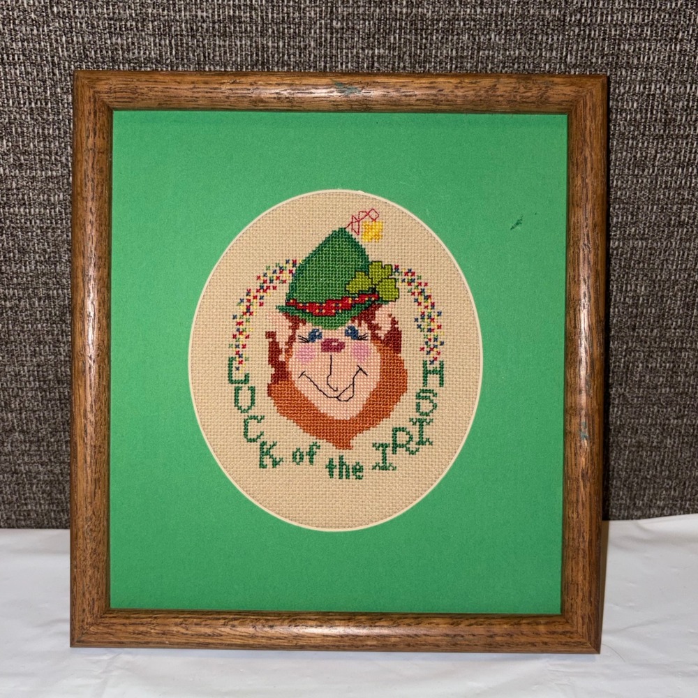 Vintage Luck of the Irish Leprechaun Cross Stitch Framed Wall Art St Patricks